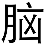 脑: 黑體