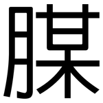 腜: 黑體