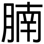 腩: 黑體