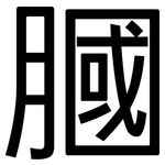 膕: 黑體