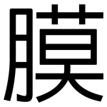 膜: 黑體 膜: 黑體