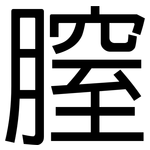 膣: 黑體