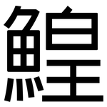 鰉: 黑體