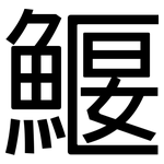 鰋: 黑體
