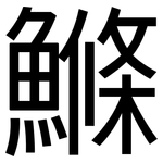 鰷: 黑體
