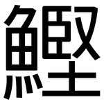鰹: 黑體