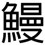 鰻: 黑體
