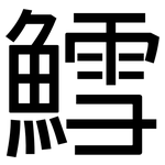 鱈: 黑體