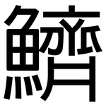 鱭: 黑體
