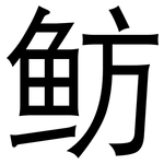 鲂: 黑體
