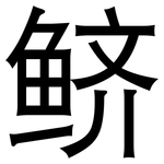鲚: 黑體