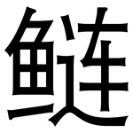 鲢: 黑體