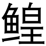 鳇: 黑體