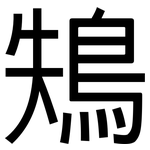 鴩: 黑體