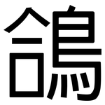 鴿: 黑體