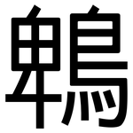 鵯: 黑體