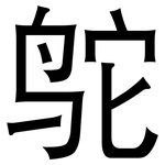鸵: 黑體