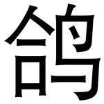 鸽: 黑體
