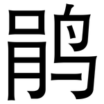 鹃: 黑體