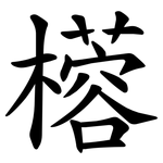 㯴