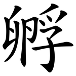 孵