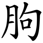 朐