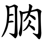 朒