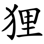狸 狸