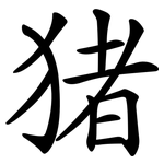 猪 猪