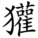 獾