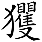 玃
