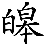 皞