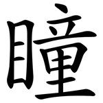 瞳