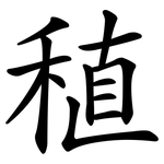 稙