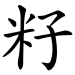 籽