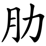 肋