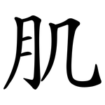 肌 肌