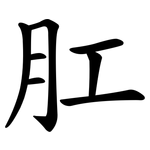肛