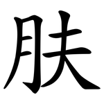 肤