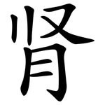 肾