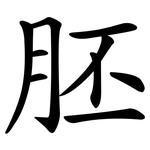 胚