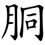 胴