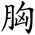 胸 胸