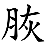 脄