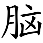 脑