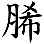 脪