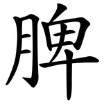 脾 脾