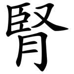 腎