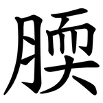 腝