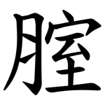 腟
